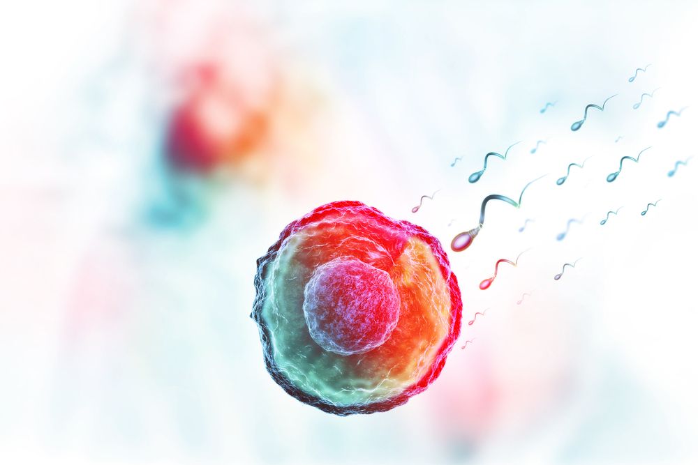 low sperm count