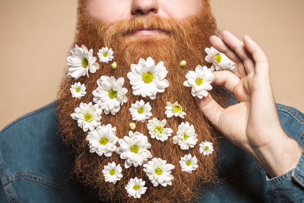 what is decembeard