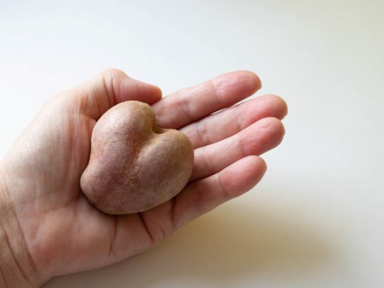 hand holding a heart shaped potato