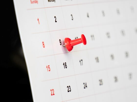 Important day with red pin on calendar